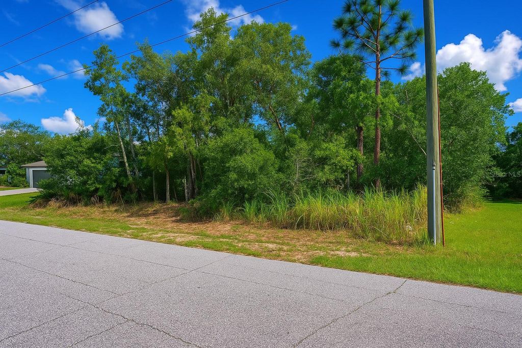 Photo of 409 Mulberry Court, Kissimmee, FL 34759 (MLS # S5139948)