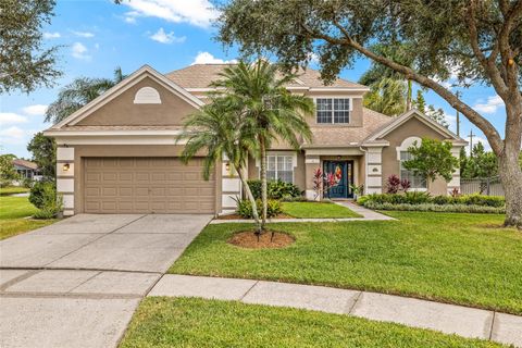 12901 GREENVILLE COURT TAMPA FL 33625