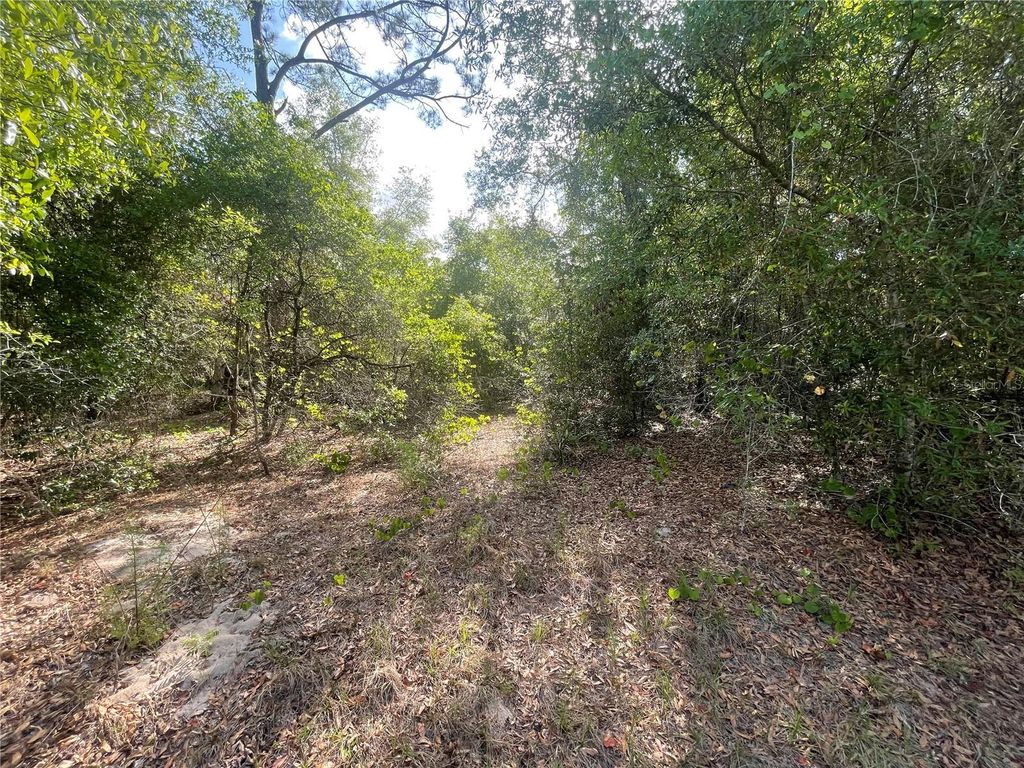 Photo of Tbd Sequoia Drive #Lot  16, Ocklawaha, FL 32179 (MLS # OM700167)