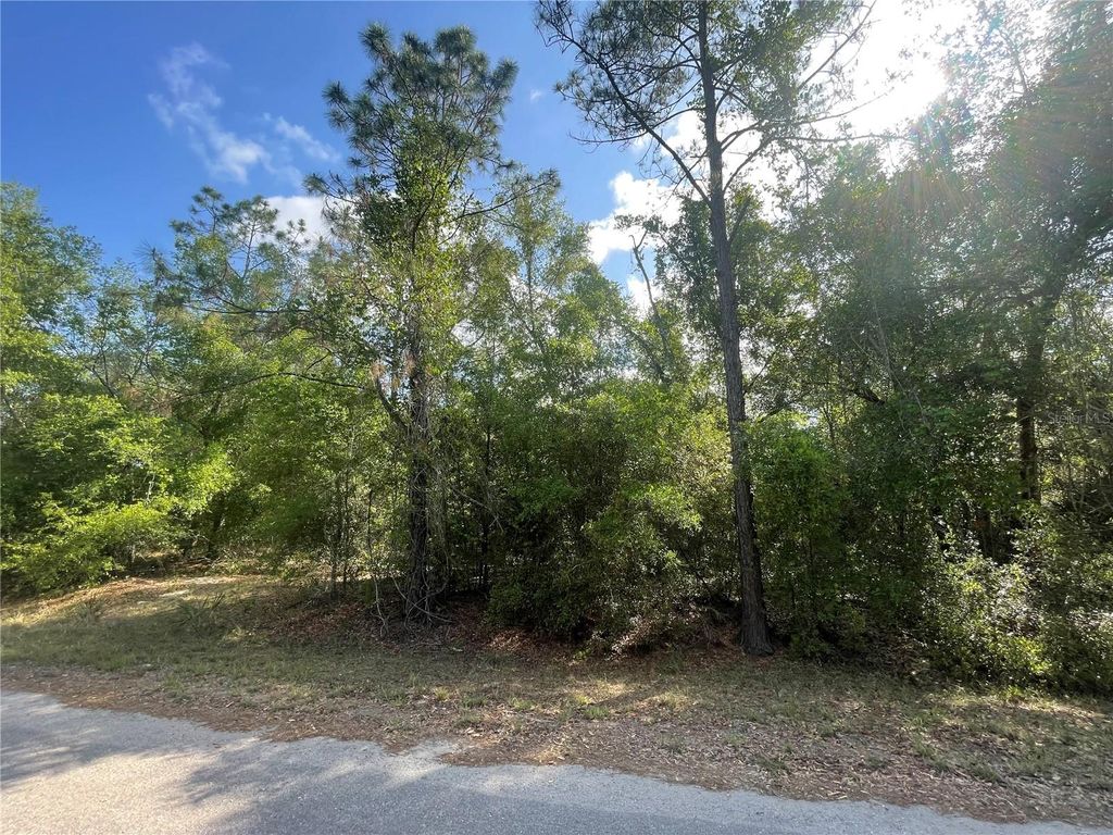 Photo of Tbd Sequoia Drive #Lot  16, Ocklawaha, FL 32179 (MLS # OM700167)