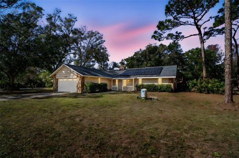 Photo of 17641 Deerfield Drive, Lutz, FL 33558 (MLS # TB8459029)