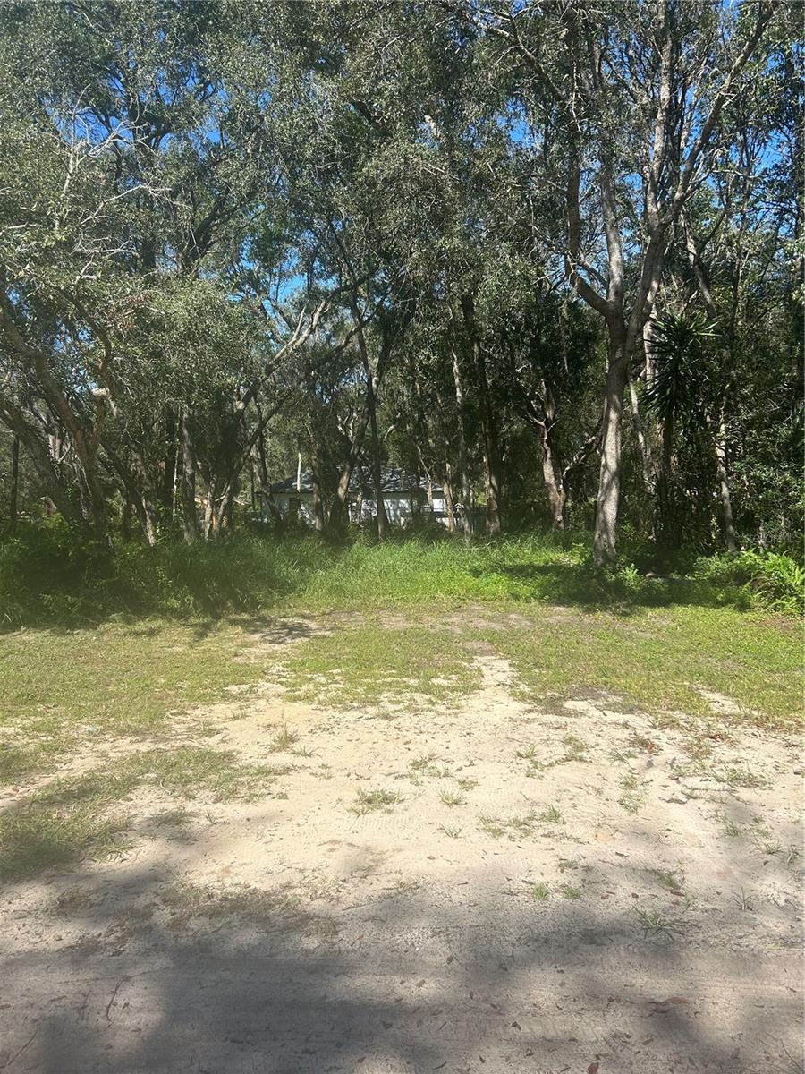 CARLTON VILLAGE PARK - Land