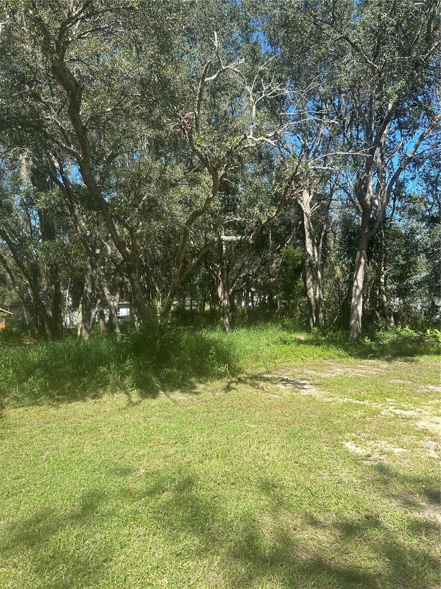 CARLTON VILLAGE PARK - Land