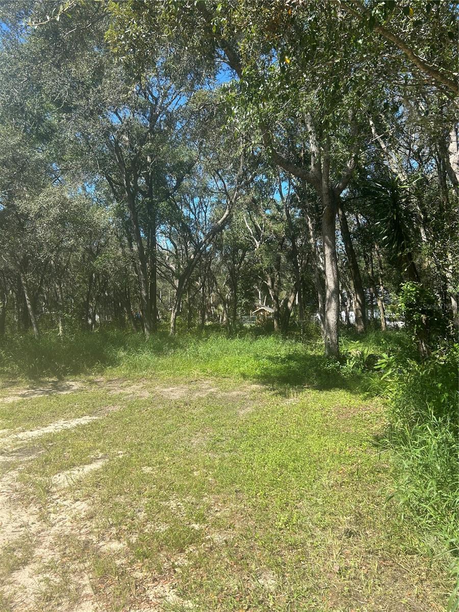 CARLTON VILLAGE PARK - Land