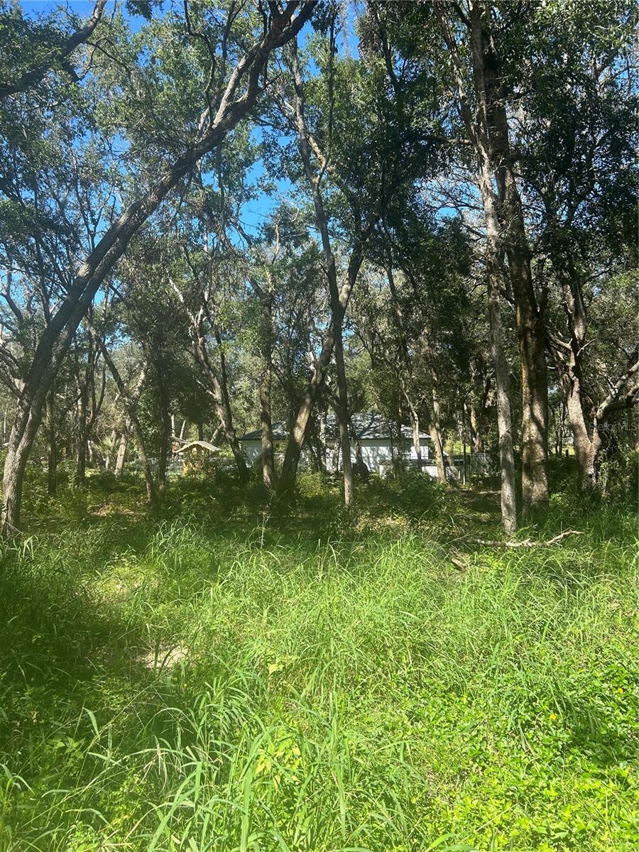 CARLTON VILLAGE PARK - Land