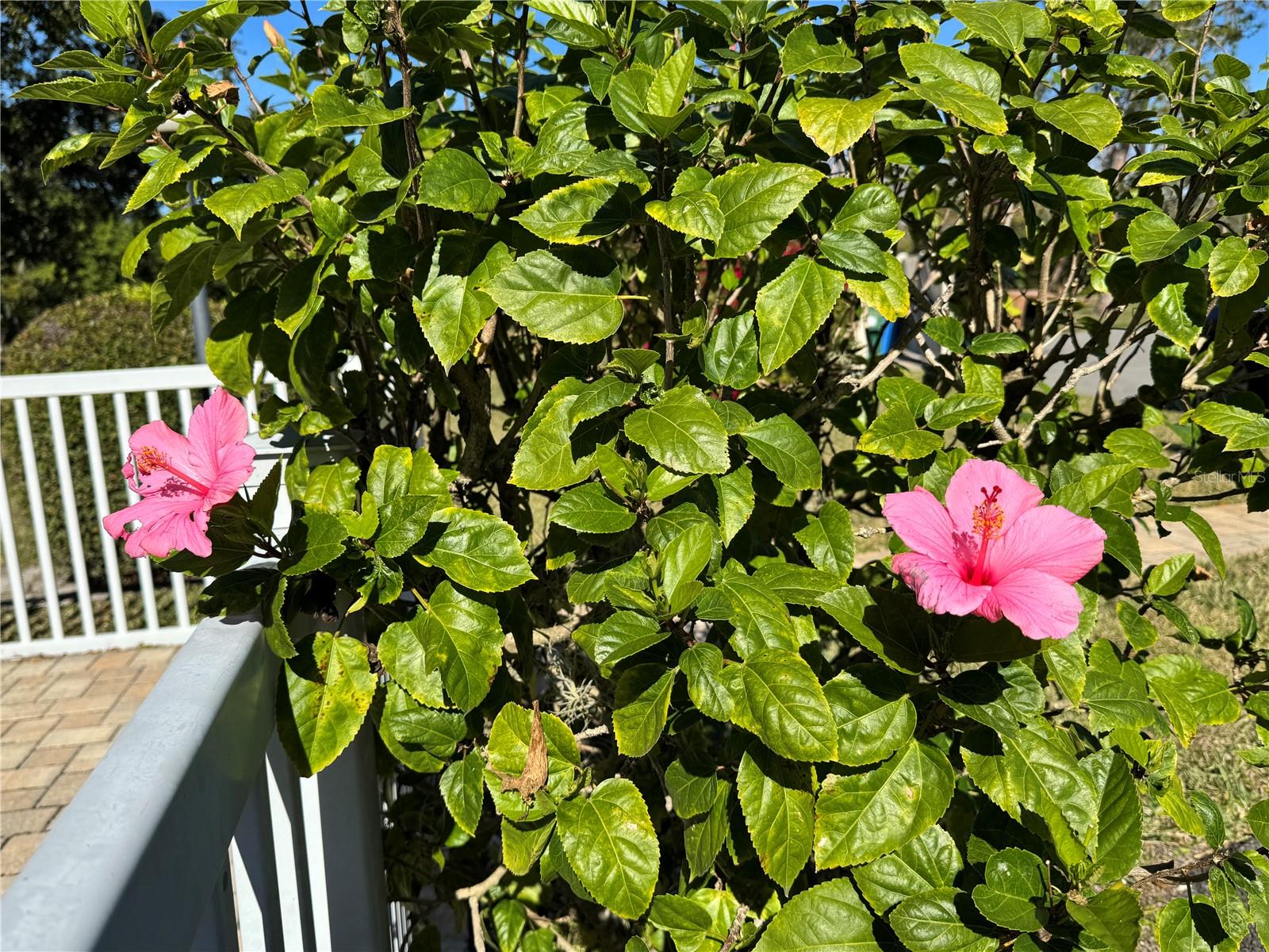 HARPERS CROFT - Residential