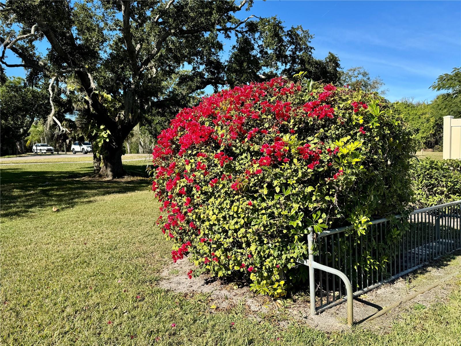 HARPERS CROFT - Residential