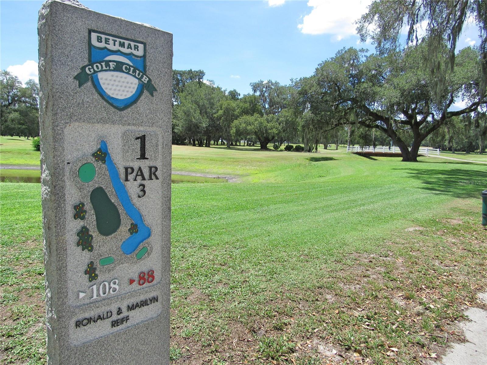 LAKE BETMAR ESTATES - Residential