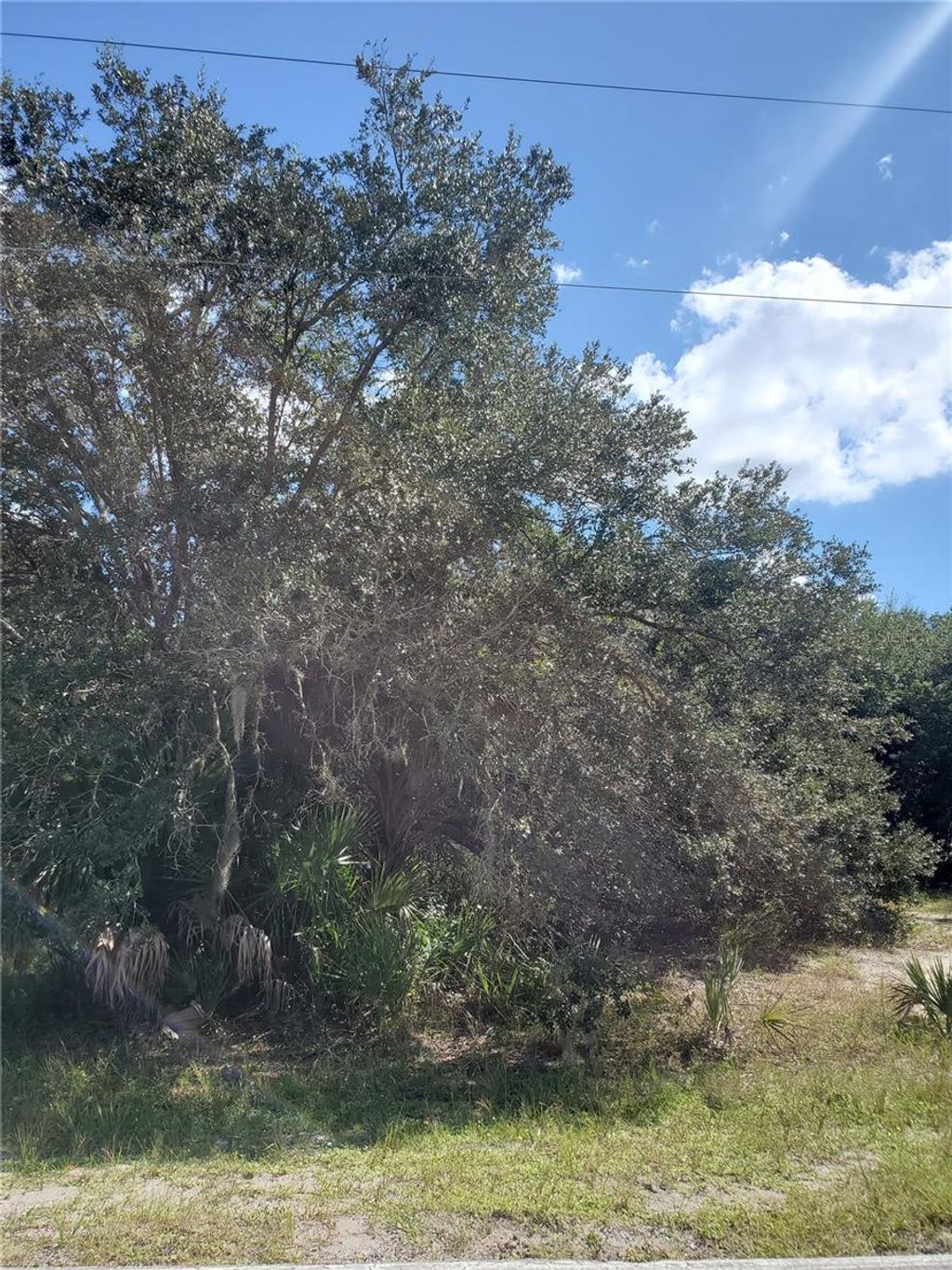 Photo of 13115 Panatella Drive, Punta Gorda, FL 33955 (MLS # C7508041)