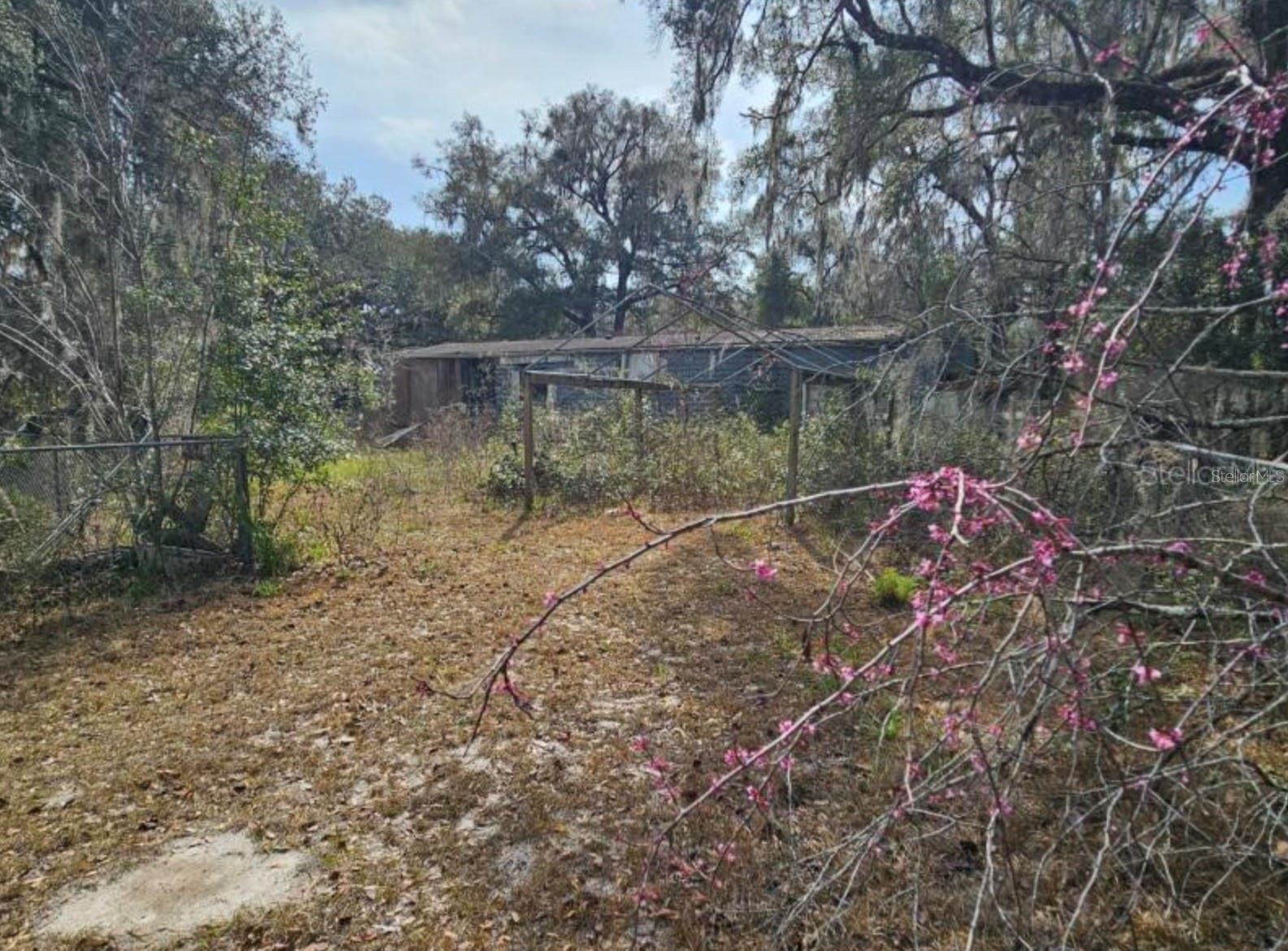 4210 NE 175TH STREET ROAD