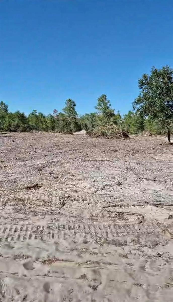 Photo of 0 S Jackson Street, Lake Wales, FL 33859 (MLS # P4939131)
