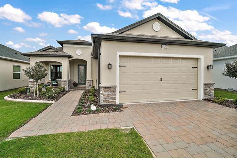 A home in MOUNT DORA