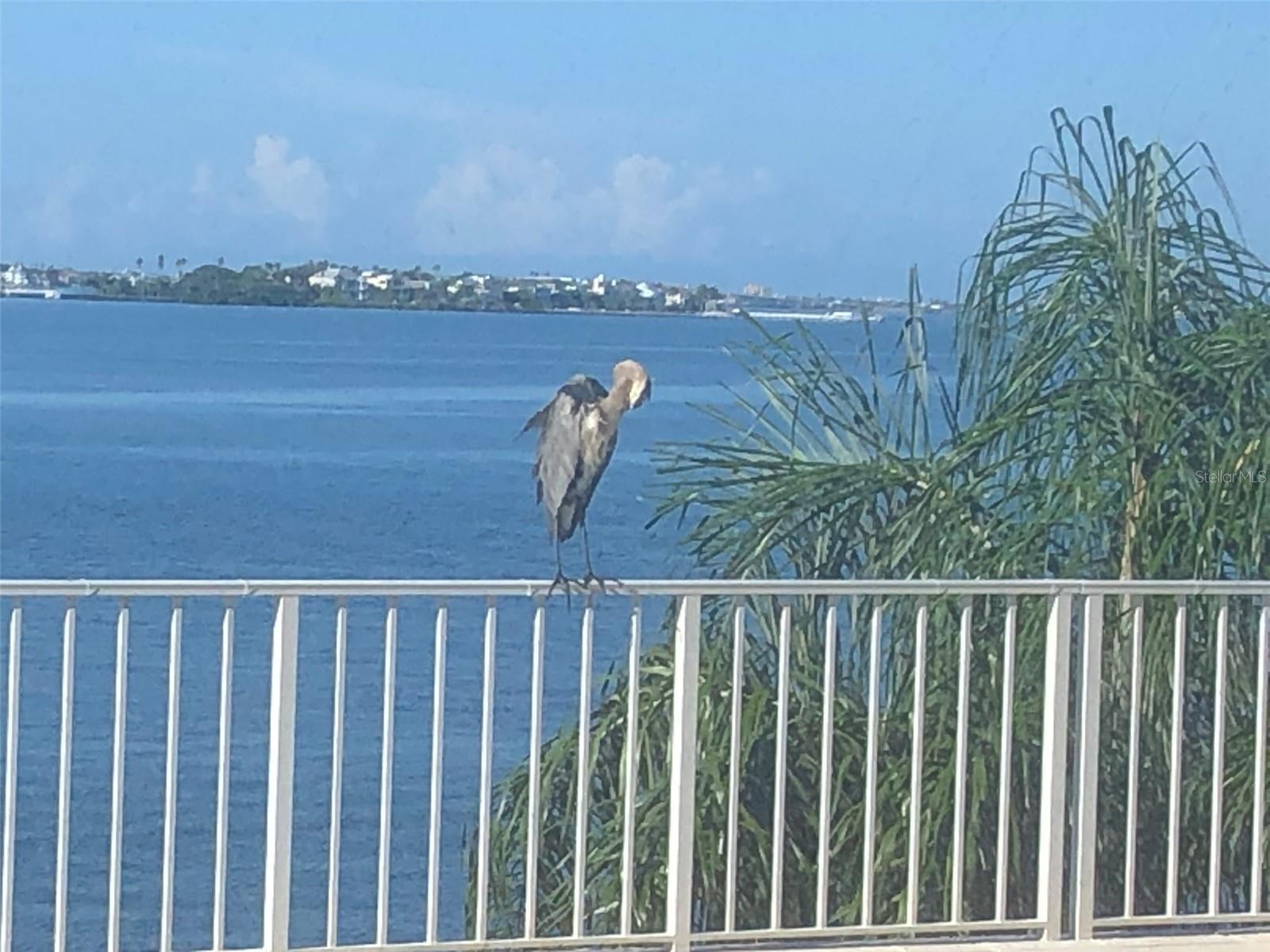 PIERCE 100 CONDO - Residential