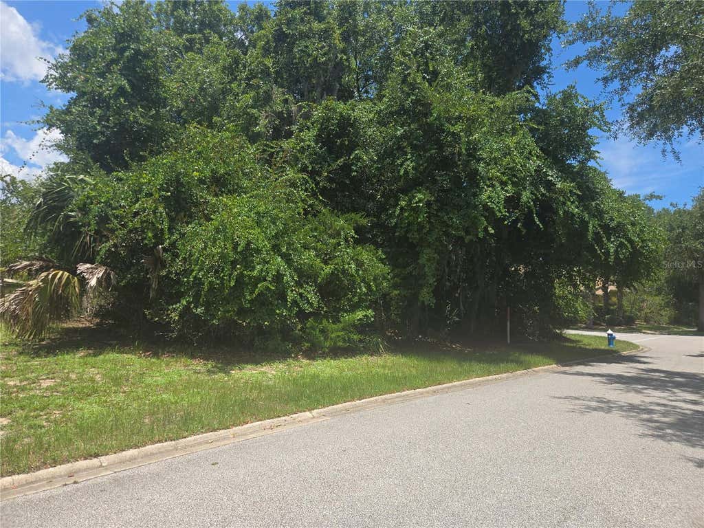 Photo of 29 Creekside Drive, Palm Coast, FL 32137 (MLS # FC320022)