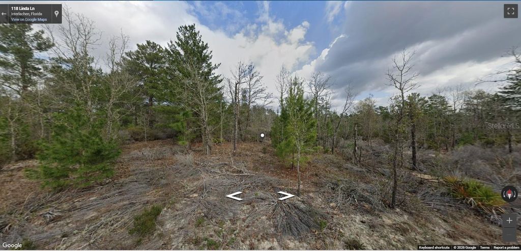 Photo of 118 Linda Lane, Interlachen, FL 32148 (MLS # S5142673)