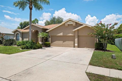 A home in PALM HARBOR