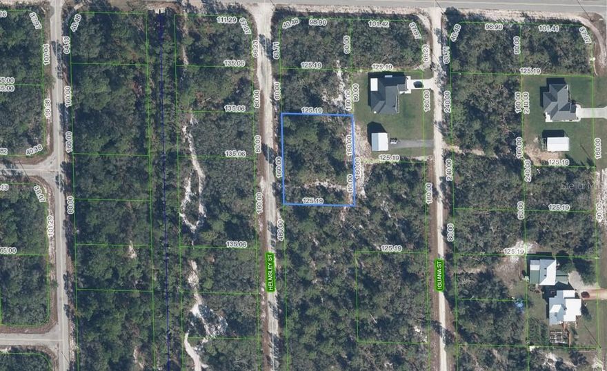 Secure your piece of one of Florida’s fastest-growing markets with this prime homesite. Ideal for builders, investors, or future homeowners, this lot offers the perfect canvas for new construction in an area experiencing rapid growth and increasing demand. Whether you’re looking to build now or hold for future appreciation, opportunities like this are becoming harder to find.