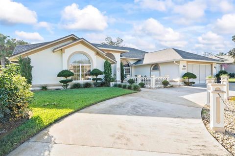 A home in PALM COAST