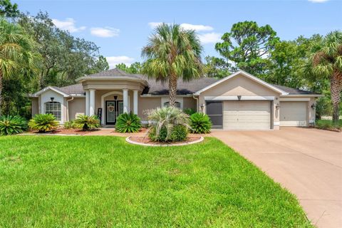 A home in HOMOSASSA