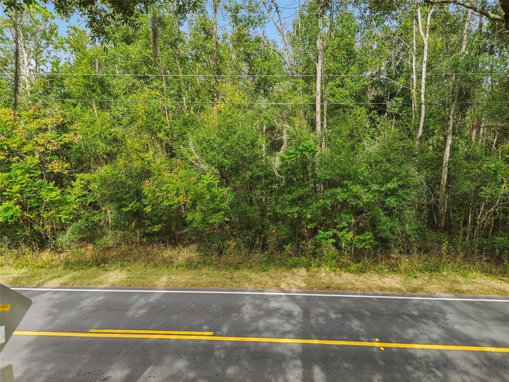 Photo of Centennial Road, Dade City, FL 33525 (MLS # TB8461360)