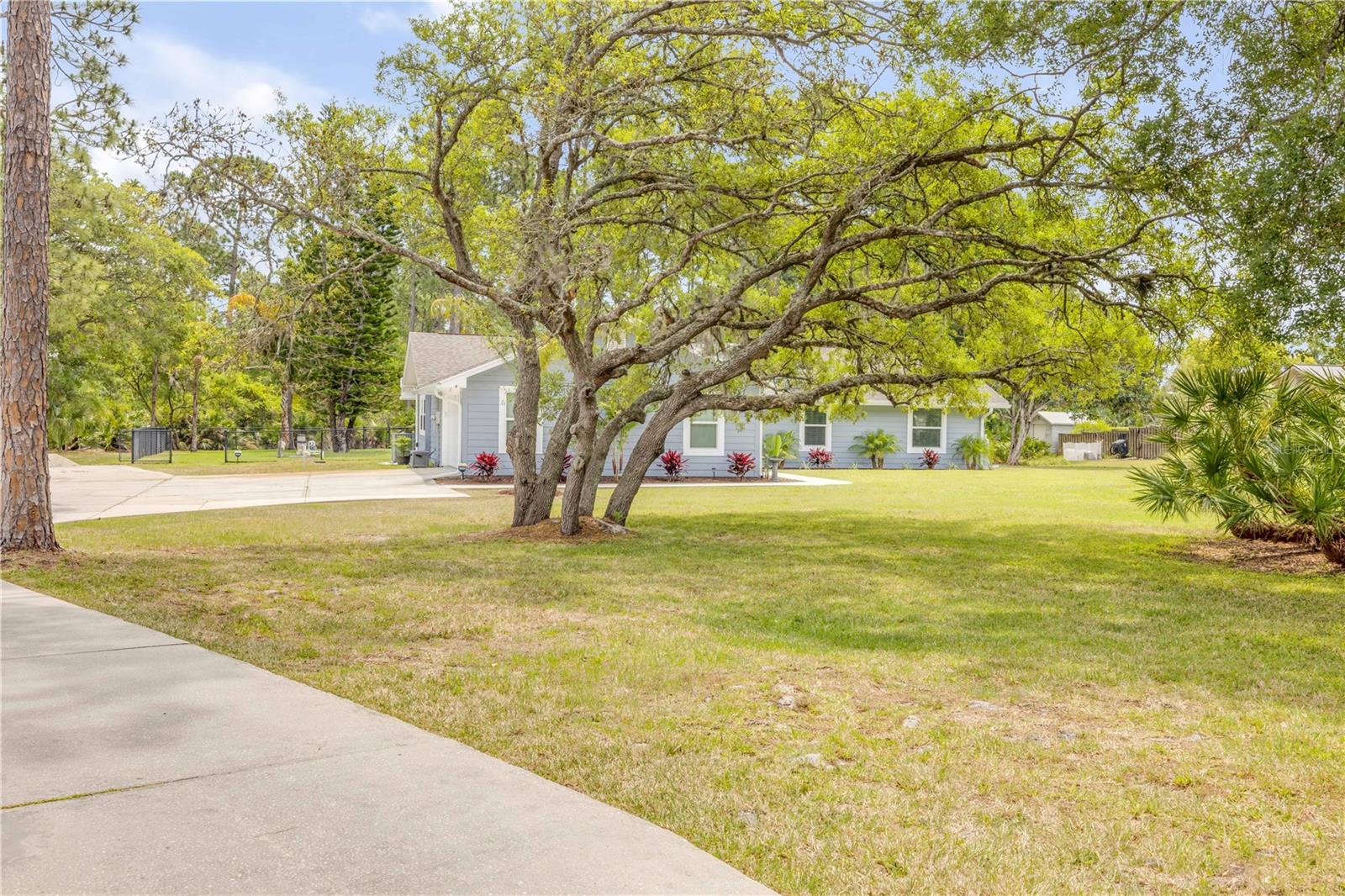 106 PINE TREE DRIVE