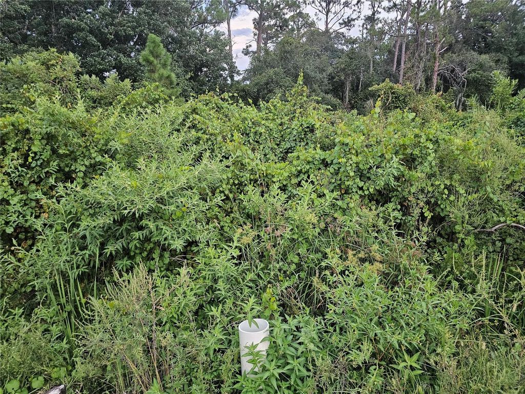 Photo of 112 Draycott Avenue, Lake Placid, FL 33852 (MLS # P4936028)