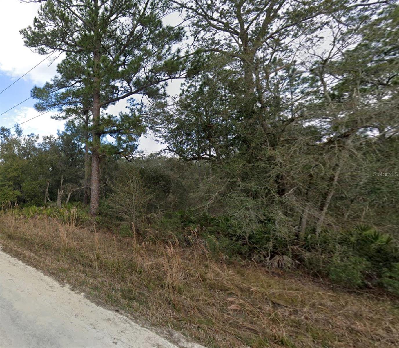 High and dry buildable lot. Homes are already being built next to the lot. Great for building your very own residential lot.