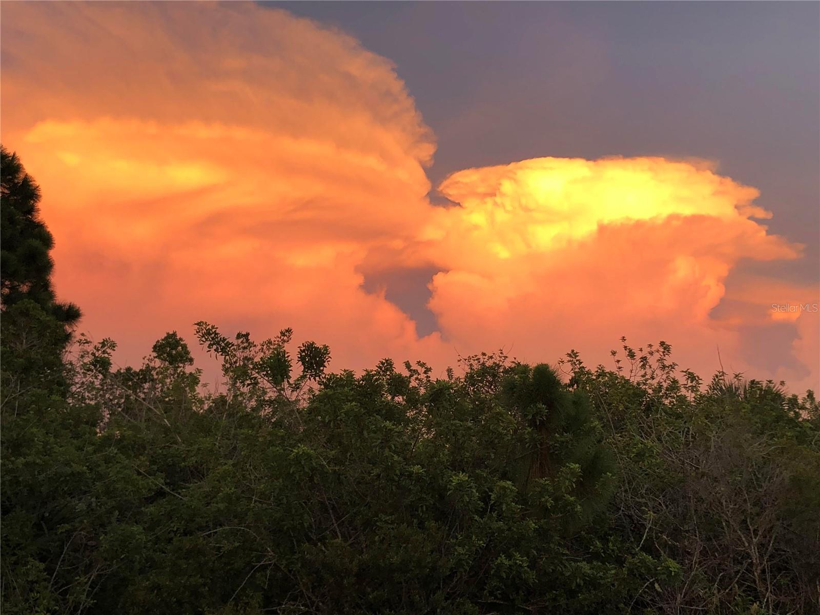 PORT CHARLOTTE SEC 87 - Land