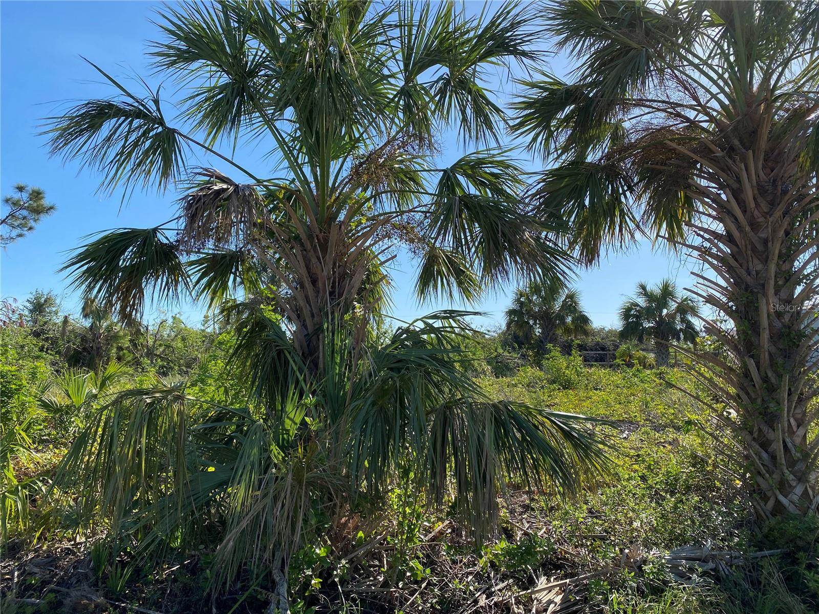 PORT CHARLOTTE SEC 87 - Land