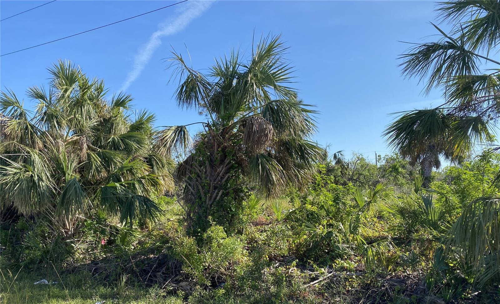 PORT CHARLOTTE SEC 87 - Land