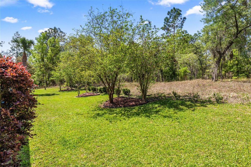 listing image 65
