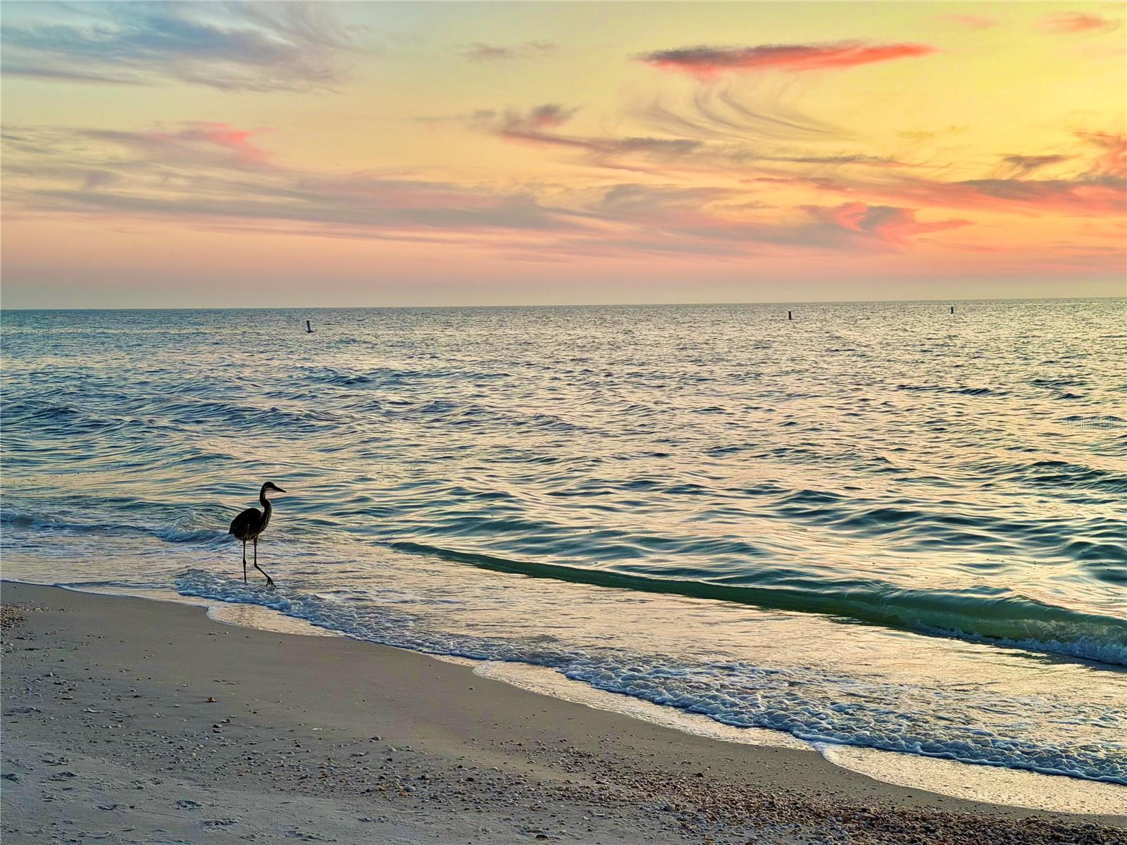 3575 GULF BOULEVARD 105