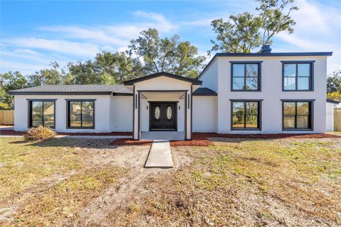 A home in APOPKA