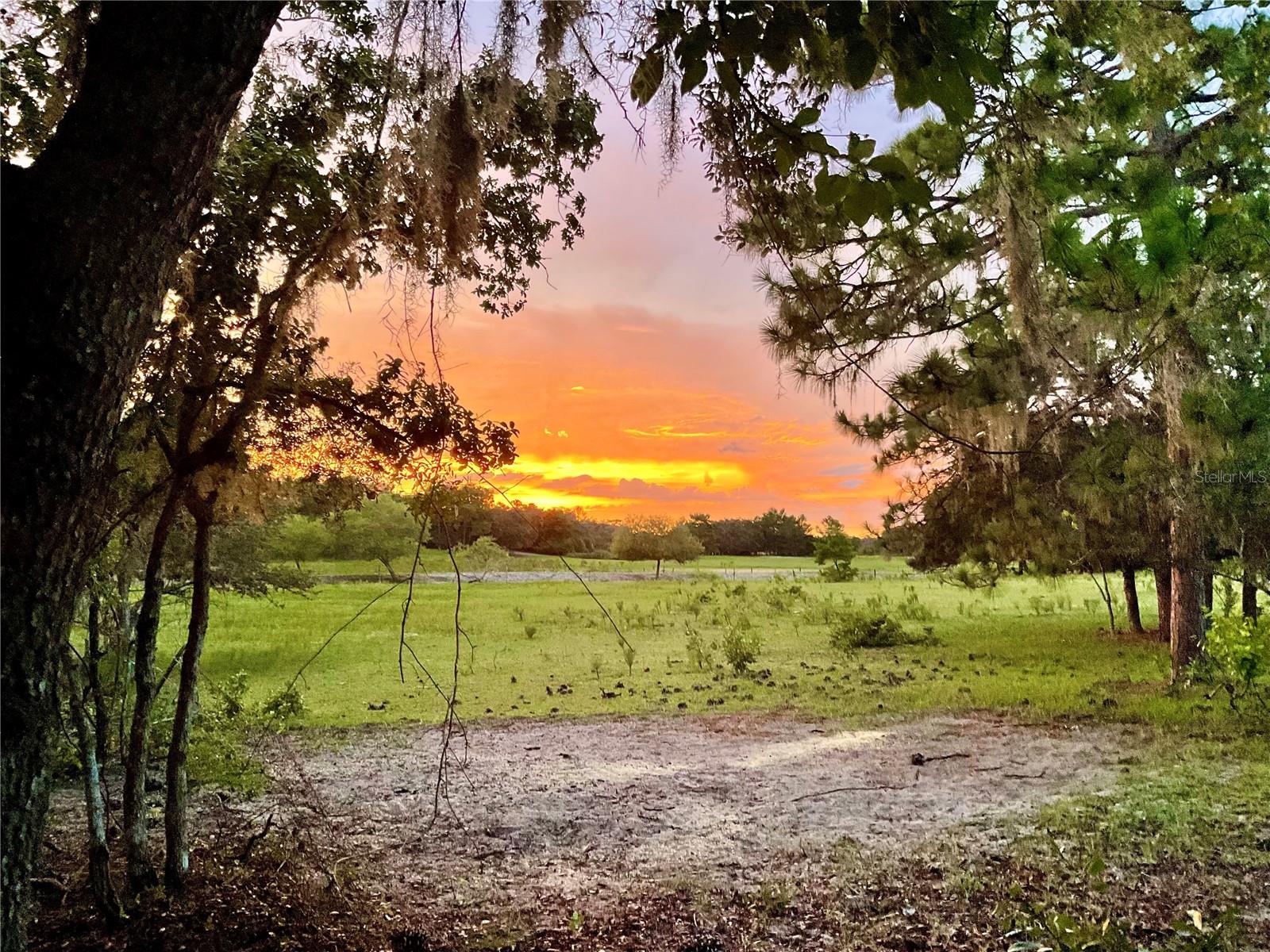 This property is a Hunters Haven of five parcels that total 65.5 acres, with 5 ponds on it. It is surrounded by the State Park and the Conservatory on two sides that allows wildlife to roam the property freely. It is currently being used for cattle and to hunt. It is well managed for over 25 years to keep wildlife abundant on it. Lots of deer, hog, and Osceola turkeys roam this property. It would also be a beautiful country setting if you choose to build a house on it. It is listed for a residential development as well.