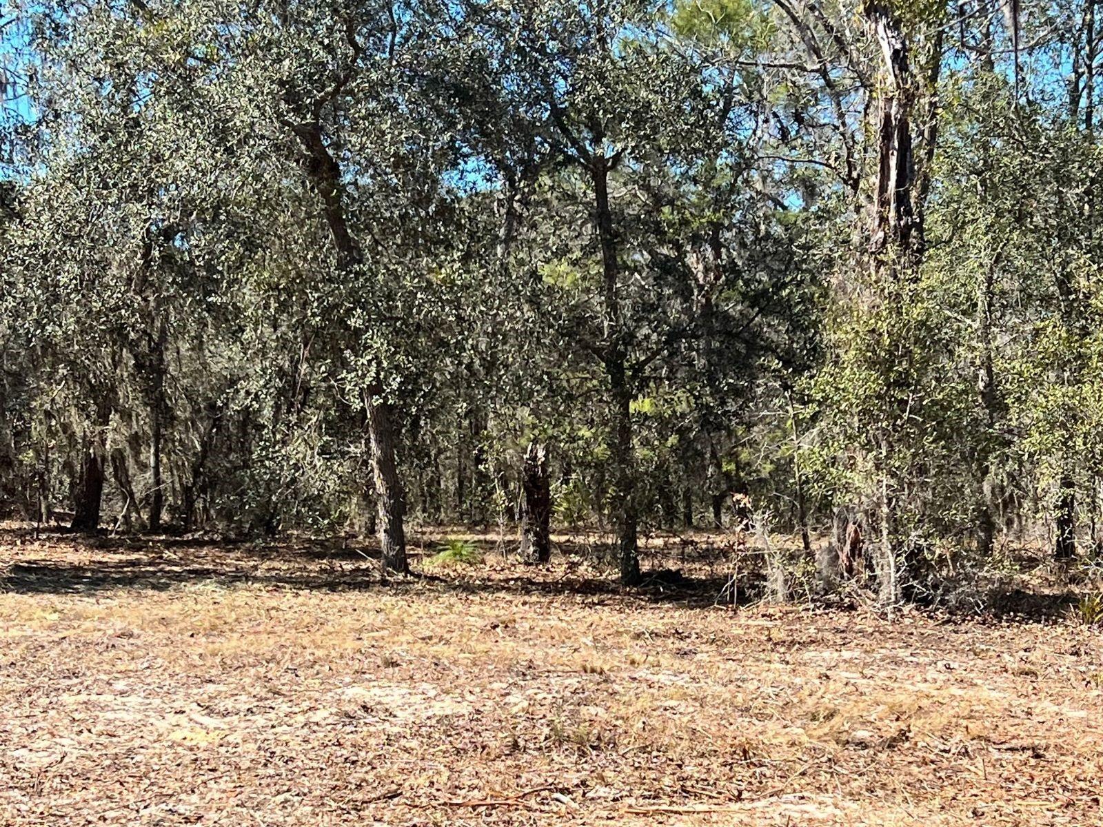 MINI FARMS UNIT 16 UNREC - Land