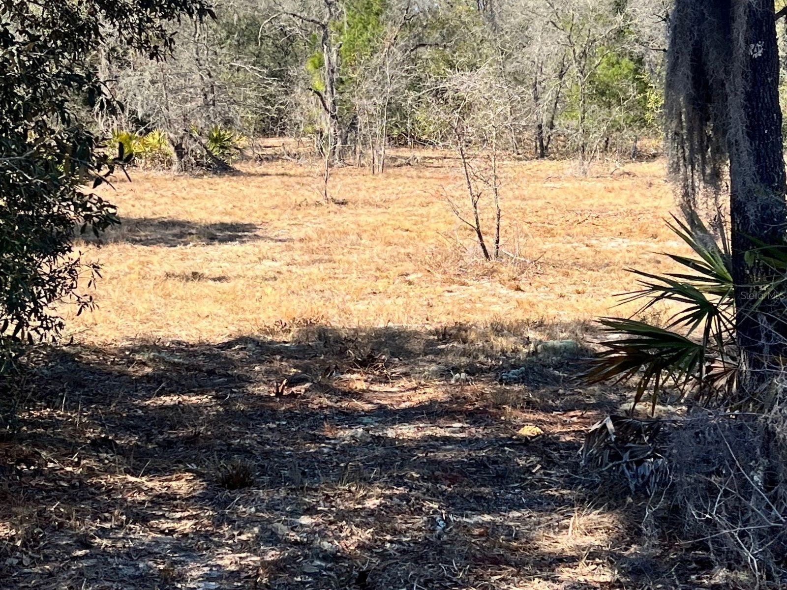 MINI FARMS UNIT 16 UNREC - Land