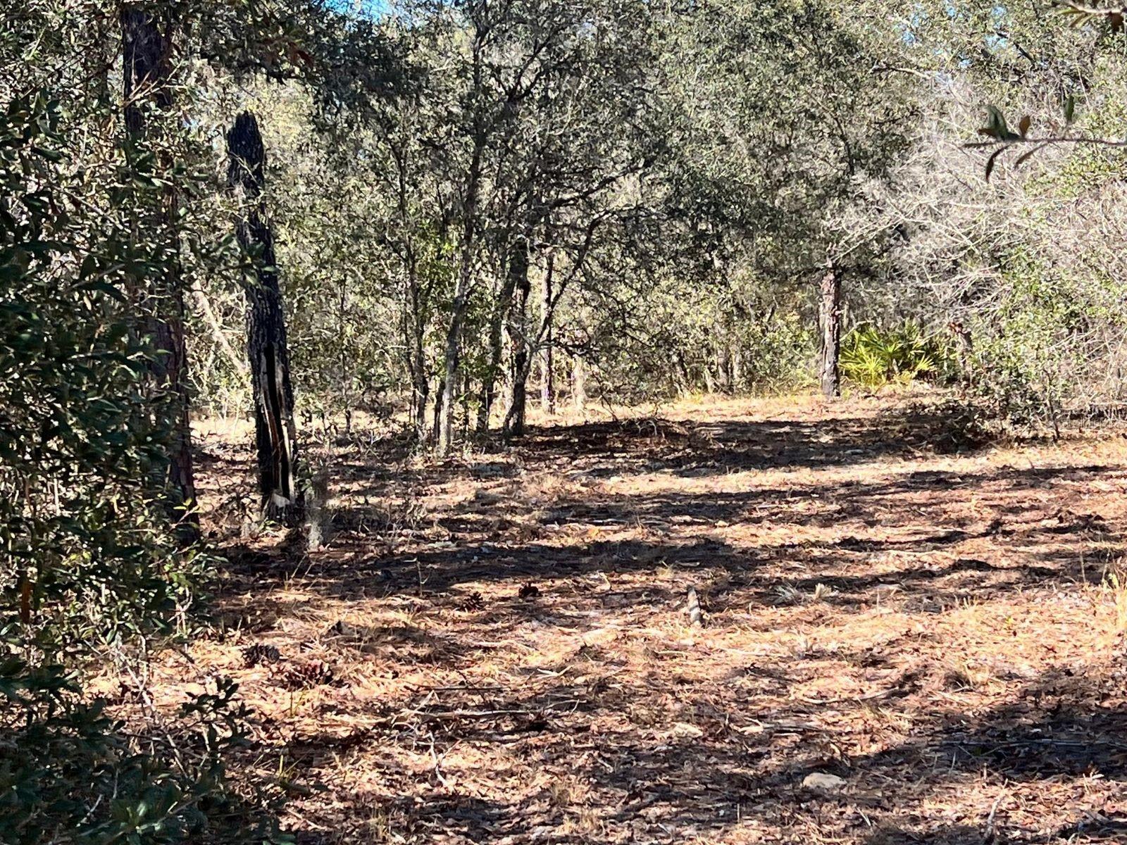 MINI FARMS UNIT 16 UNREC - Land