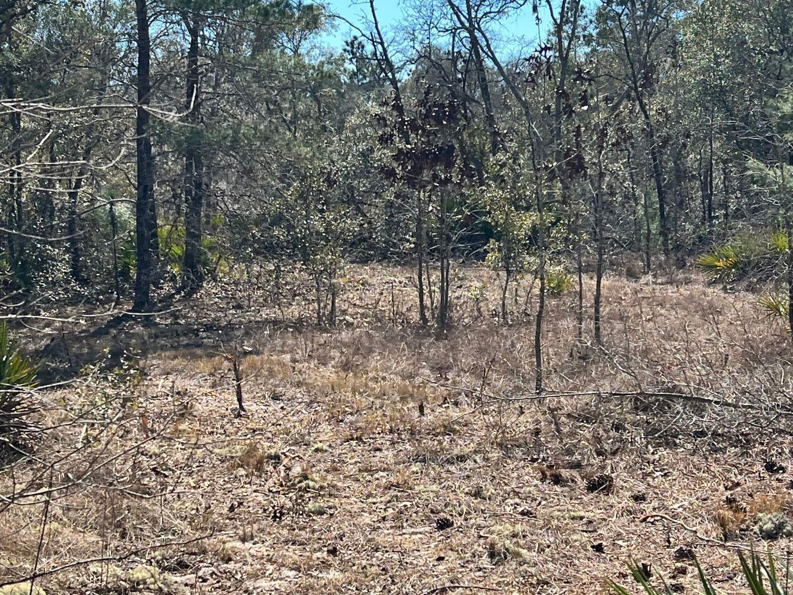 MINI FARMS UNIT 16 UNREC - Land