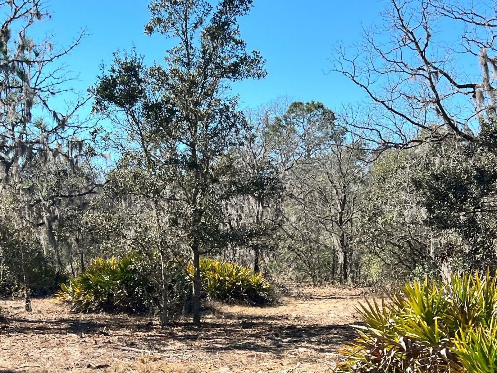 MINI FARMS UNIT 16 UNREC - Land