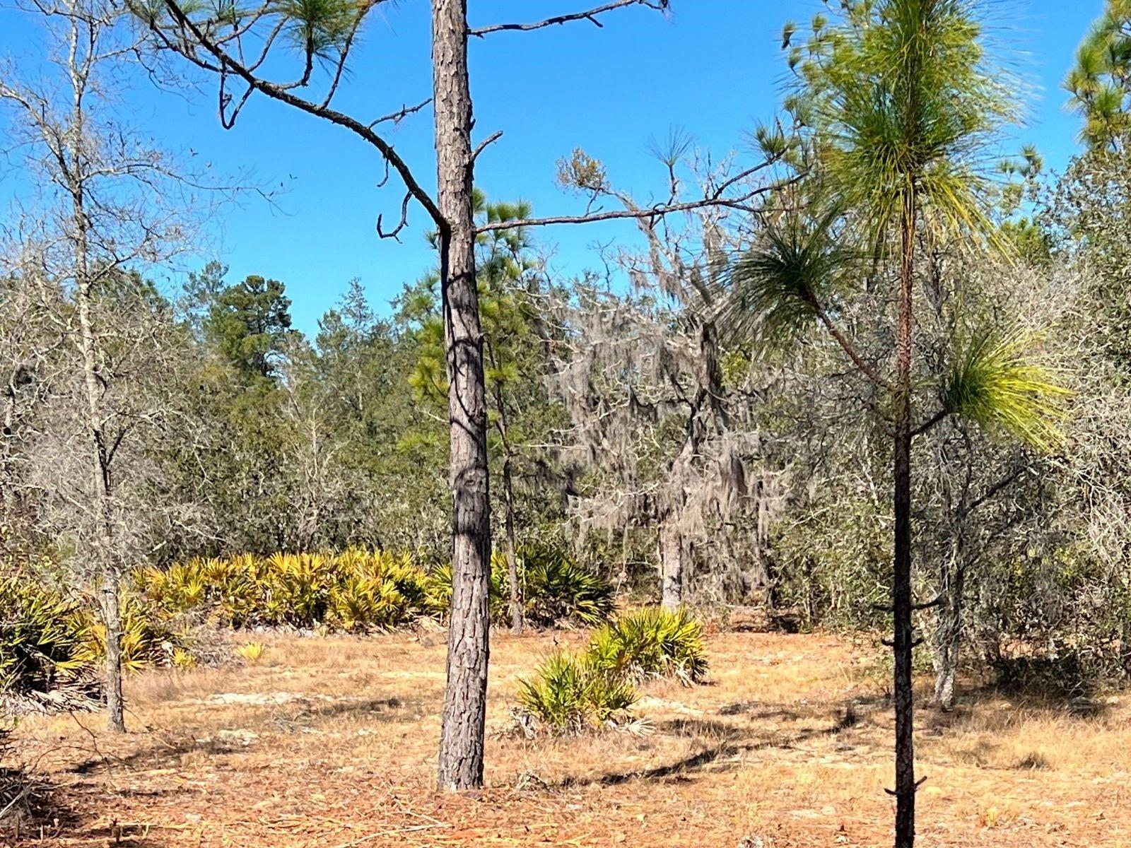 MINI FARMS UNIT 16 UNREC - Land