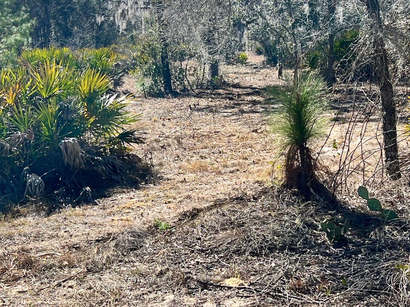 MINI FARMS UNIT 16 UNREC - Land