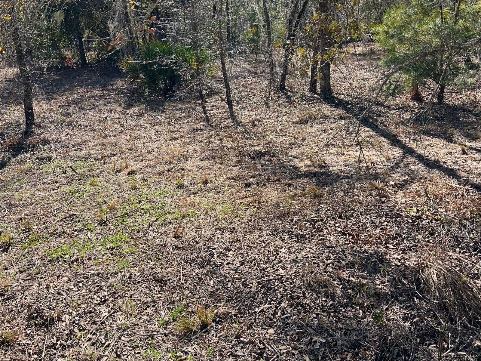 MINI FARMS UNIT 16 UNREC - Land