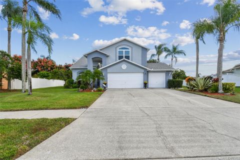 1119 FOX CHAPEL DRIVE LUTZ FL 33549