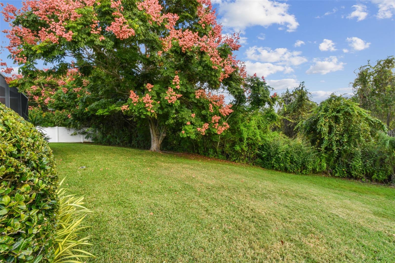 WILLOW BEND - Residential