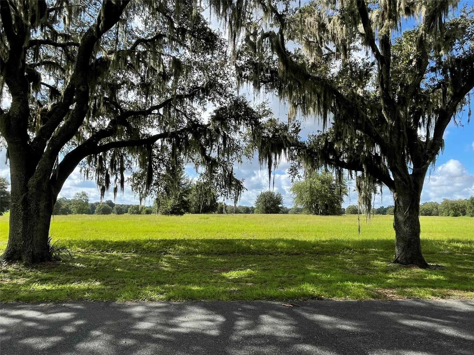 Via Paradisus is a gated community graced with beautiful Graddaddy Oaks, paved streets, street lighting and has access to the Florida Greenways and Trails. Close to the Florida Horse Park. Deed Restricted Community, Equine Friendly. Bring your plans and build your dream home or farm of your choice on this 3.47+/- acre lot. Florida's Marjorie Harris Car Florida Greenway is by far one of the most treasured resources available. Offering hundreds of miles for horseback riding, mountain biking or just plain relaxing, the Florida Greenway awaits your adventure.