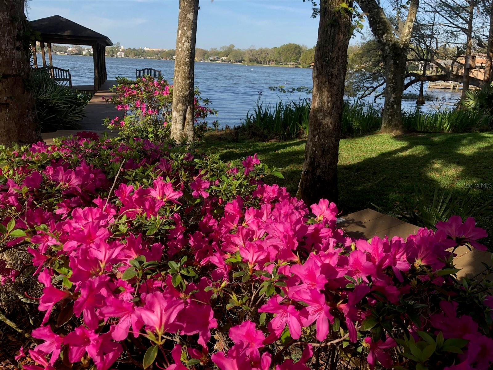 OAKS OF MAITLAND - Residential