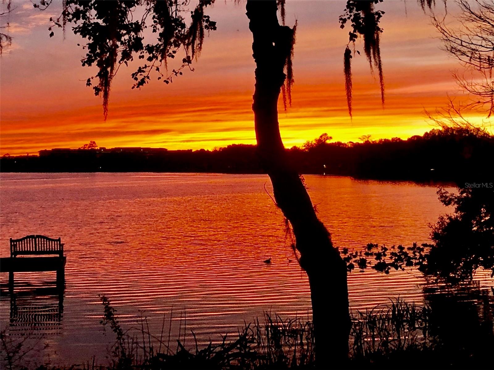 OAKS OF MAITLAND - Residential