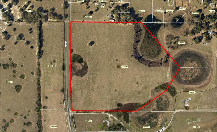 Quality Agricultural pasture land with picturesque pond frontage located on CR 452. This 40 acres parcel features scattered trees, pasture /hay field and waterfront (ponds unnamed). The opportunities are many: farming, rural residential home site or site (possibly up to 8 with Lake County approval), hay production, livestock. In the past the farming included watermelon, citrus, cantaloupe among some crops planted.