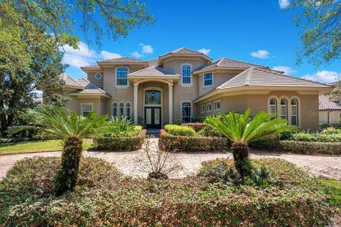 10527 EMERALD CHASE DRIVE ORLANDO FL 32836