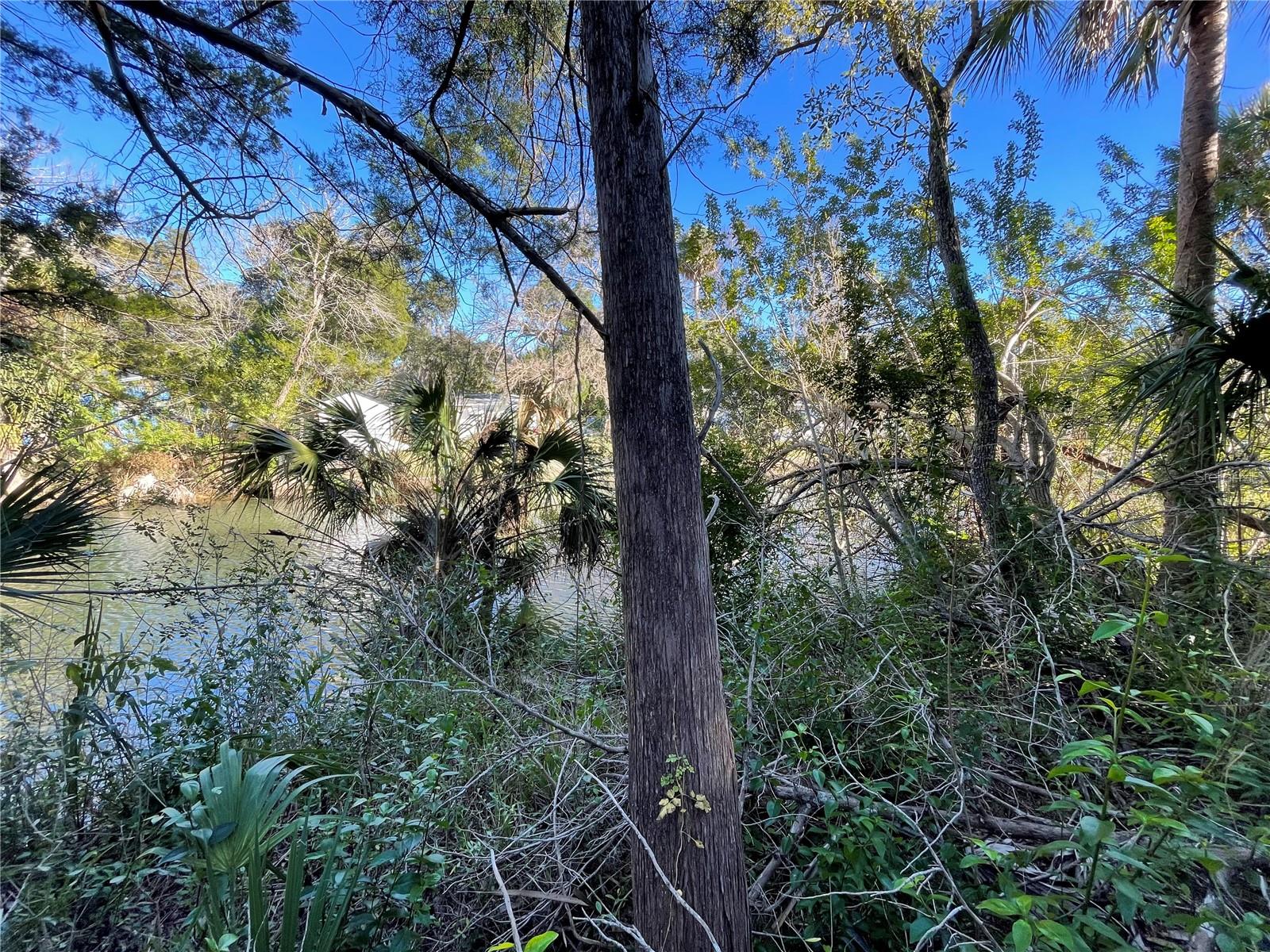 Nestled in the serene beauty of Weeki Wachee, this vacant canal-front land presents the perfect opportunity to build your dream home in one of Florida's most picturesque settings. Imagine waking up to the sights and sounds of nature, with Florida's abundant wildlife right outside your door. Situated on a canal with direct access to the Gulf of Mexico, or enjoy a peaceful kayak ride to the nearby Mud River, this location offers endless outdoor adventure possibilities. The property is ideally located between the Weeki Wachee River and Mud River, and the community provides access to crystal-clear, spring-fed springs. Whether you're looking to craft your forever home or create the ultimate vacation getaway, this tranquil lot is ready to bring your vision to life. Don't miss the chance to build the home of your dreams in this breathtaking natural paradise!